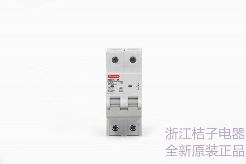 供應(yīng)舟山BB2DB-63/2P16A_桔子電器_2024新性能優(yōu)勢(shì)