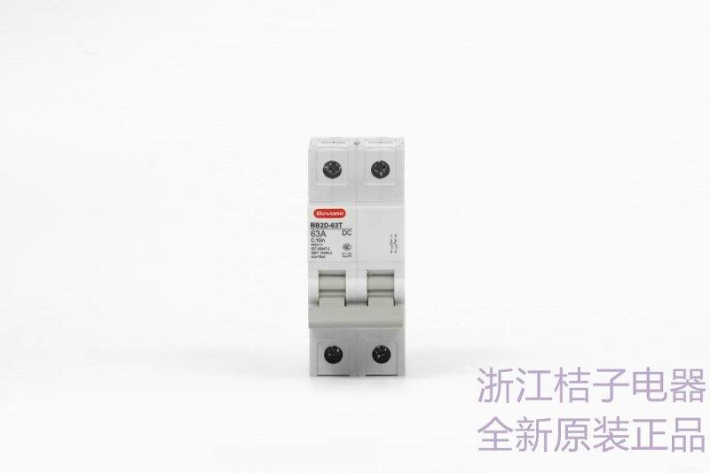 供應(yīng)阜新BB2D-63PV/1PB1_桔子電器_2024全新優(yōu)勢(shì)